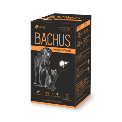 Bachus Hepatic&Digest papildas virškinimo veiklos stabilizavimui 60 skanių tablečių