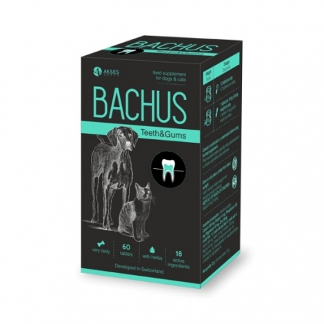 BACHUS Teeth&Gums 60 skanių tablečių