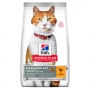 Hill's SP Feline Sterilised Young Cat Chicken, sausas maistas katėms
