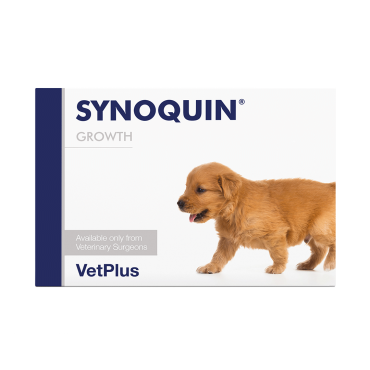 SYNOQUIN® GROWTH 60 N
