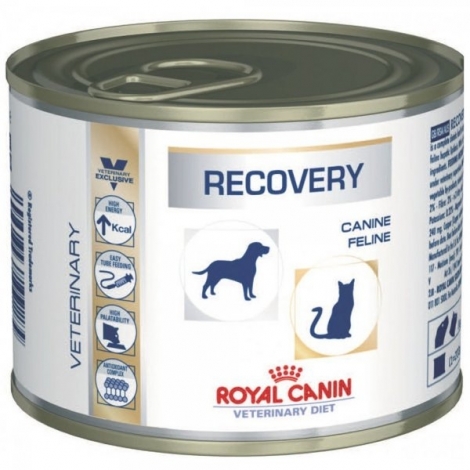 Royal Canin Recovery 200g