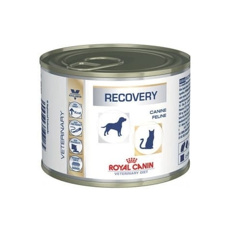 Royal Canin Recovery konservai 200g