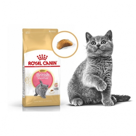 Royal Canin FBN Kitten British Shorthair
