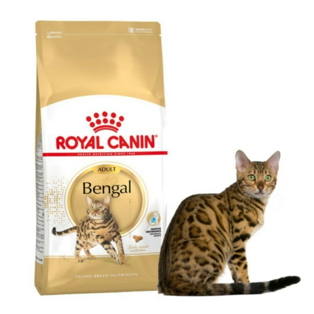 Royal Canin FBN Bengal