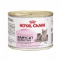 Royal Canin FHN BabyCat Instinctive konservai 200g