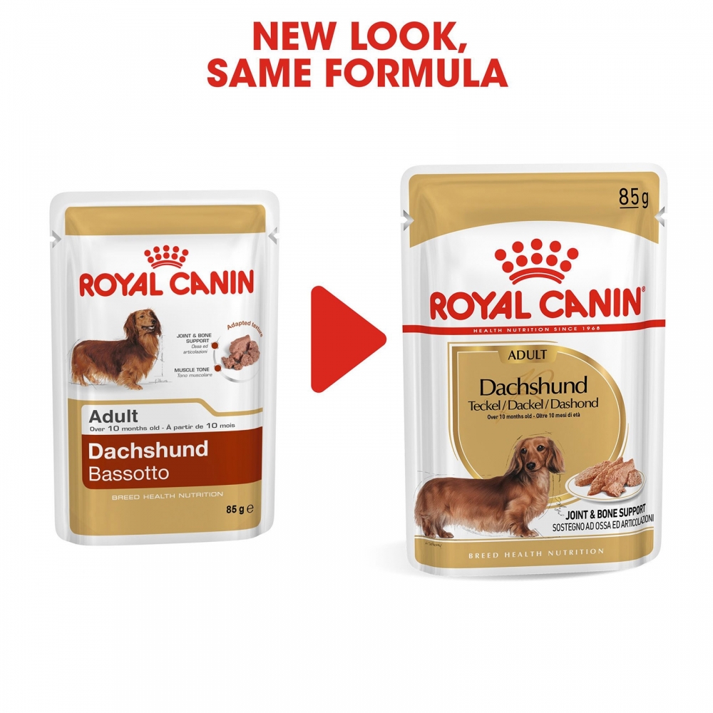 Royal Canin Dachshund Adult paštetas (85g. x 12pak.)