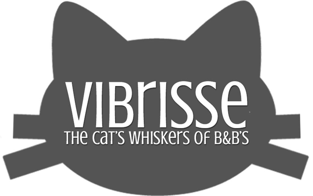 Vibrisse