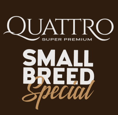 QuatTro Small Beed
